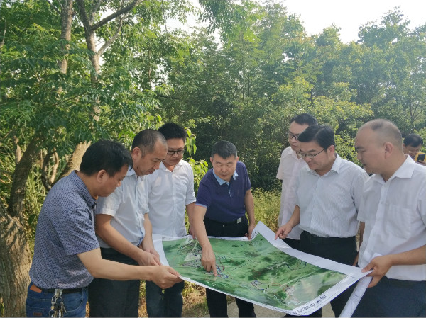 2025新奥开采结果