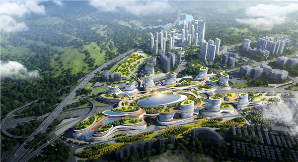 2025新奥开采结果